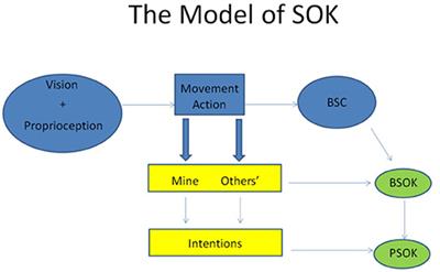 How Proprioception Gives Rise to Self-Others-Knowledge